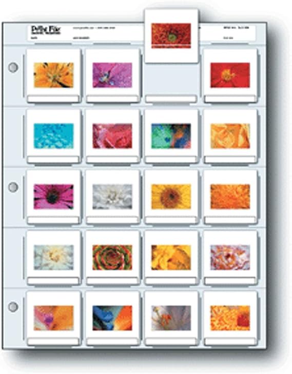 Printfile Top Load Holds 20 35mm Slides 100 Pack - Printfile 2X220B100