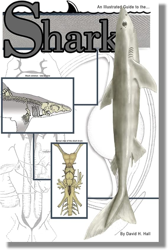 Anatomy Lab Soft Cover Shark Dissection Guide Book
