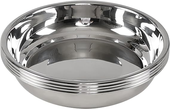 Set of 4 Stainless Steel Plates for Eating, Round Camping Serving Plate Set