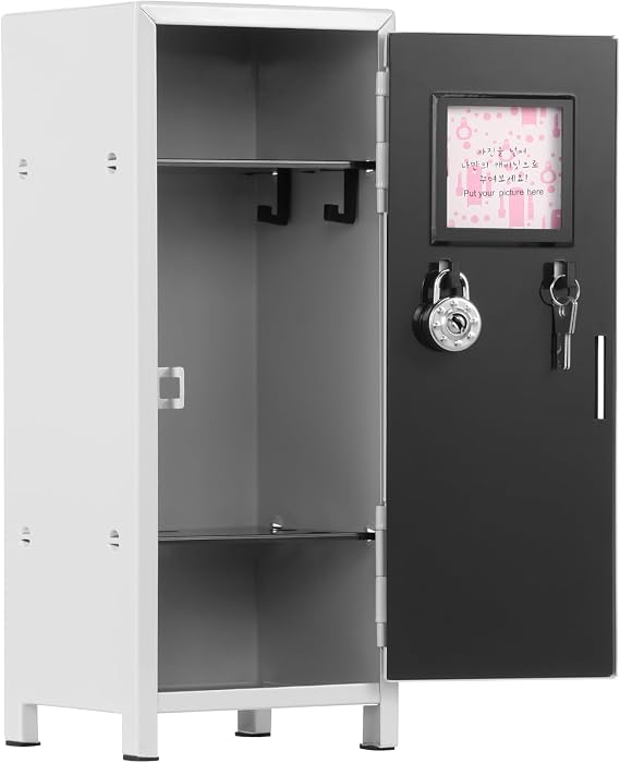 Mini Storage Locker with Lock and Key, Portable Safe Storage Lockers with Internal Compartments and Hooks,Waterproof and Rustproof Metal Small Locker for Home Office Desktop, 10.5×10.5×27.5cm