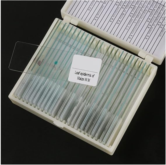 Microscope Kit 25pcs/Set Biological Microscope Glass Slides Microscope Lens Adapters (Color : 30pcs)