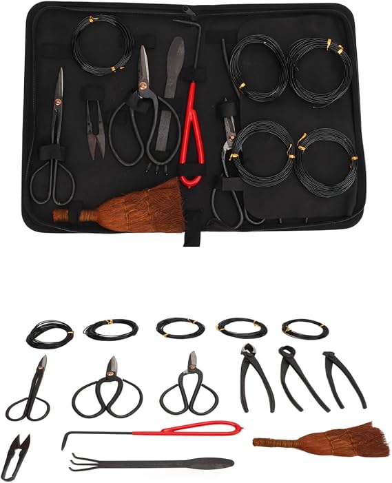 Topyond Bonsai Tool Set, 12 PCS Carbon Steel Succulent Gardening Trimming Tools Set, Bonsai Starter Trimming Care Kit Include Pruning Shears, Scissors, Wire Cutter in Root Hook Nylon Tool Case