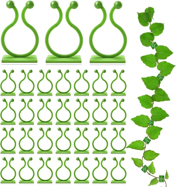 100Pcs Plant Clips for Climbing Plants Support Clips Garden Clips for Climbing Plants Self-Adhesive Climbing Plant Clips Plant Support Clips Garden Plant Wall Fixture Clips for Climbing Plants(Green)