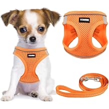YIMEIS - Dog Harness and Leash Set, No Pull Soft Mesh Harness, Adjustable Reflective Puppy Vest for Small Medium Large Dogs Cats (Orange01, XS(Pack of