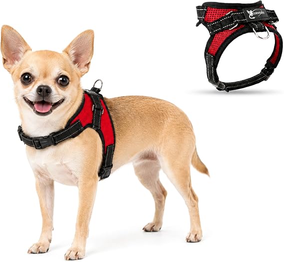No Pull Reflective Adjustable Dog Harness With Handle- Comfortable Soft All Weather Mesh, Easy On Puppy Harness For Small Medium and Large Dogs (Red) X-Small