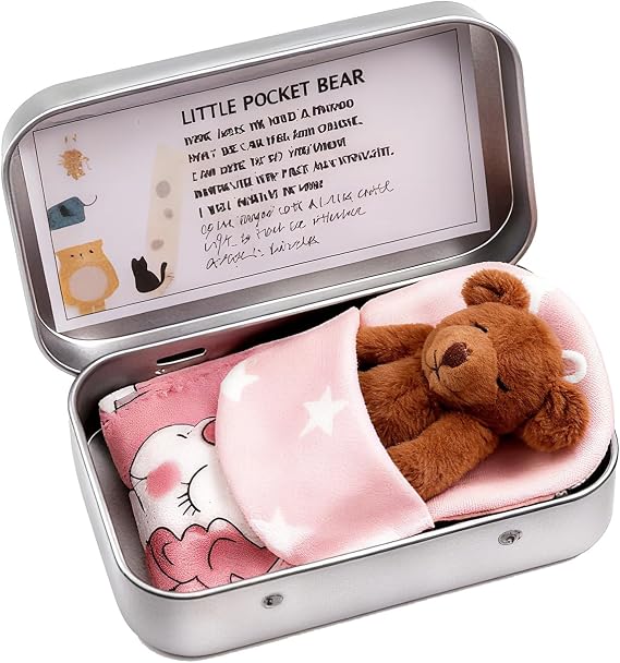 1 Pcs Bear in a Box, Brown Mini Plush Pocket Bear, Mini Teddy Bear
