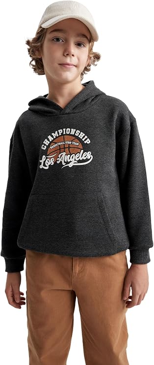 DeFacto Erkek Çocuk Regular Fit Kapüşonlu Sweatshirt
