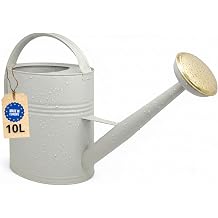 Livlig53 LIVLIG watering can 10L made of metal, with removable watering head, vintage watering can, for the garden, colour: Greige
