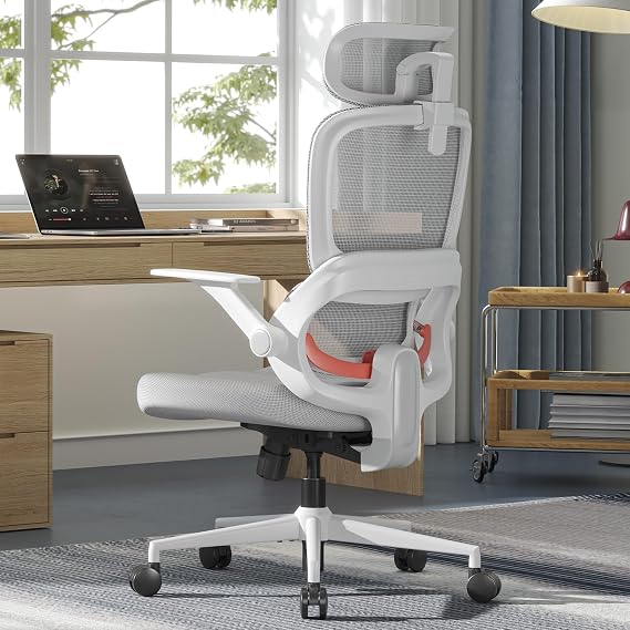 SIHOO B100 SE Ergonomic Office Chair, Desk Chair with Lumbar Support