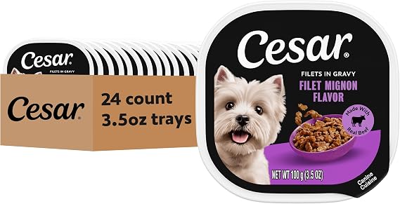 Cesar Filets in Gravy Wet Dog Food, Filet Mignon Flavor, 3.5 oz, 24 Count | Real beef, easy to digest, no fillers, no added sugar, no artificial flavors, slow-cooked tender texture, easy peel trays