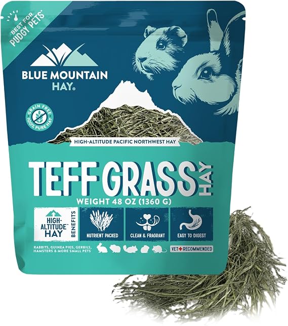 Blue Mountain Hay Teff Grass Hay for Small Pets, High Fiber Feed, 48oz