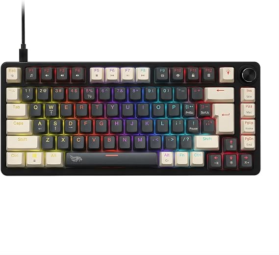 Gameagle%75 RGB Mekanik Gaming Klavye, Full Anti-Ghosting, Dayanıklı ABS Gövde, Örgü Kablolu, Hot Swap, Silinmez Double Shot Tuşlar, 82 Tuşlu Mekanik Oyuncu Klavyesi Mavi Switch KB-10 (Beyaz - Siyah)