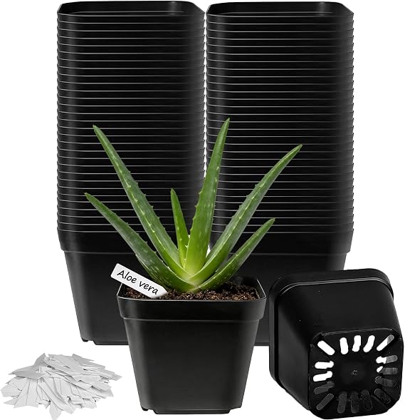 60pcs 10cm Plastic Plant Pots Flower Nursery Pots Herb Pot Seed Seedling Pots with Drainage Hole and 100Pcs Plant Labels for Succulent, Flowers, Cactus All House Plants