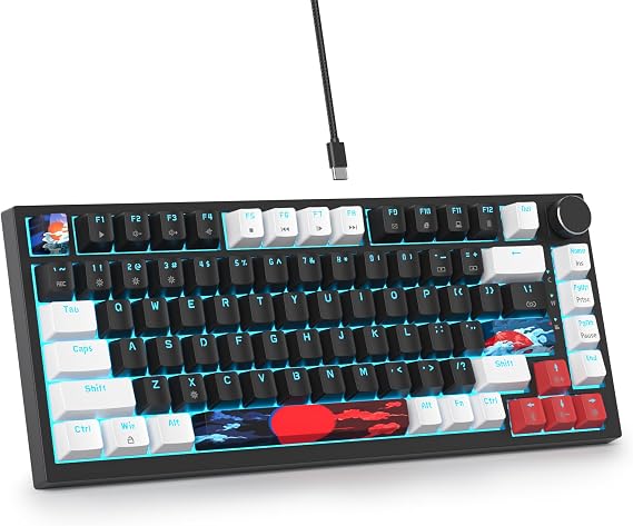 Custom Gaming Keyboard 75 Percent Hot-Swap Wired Mechanical RGB Keyboard with Seal and Sound Absorbing Pads Programmable American QWERTY V400 Black