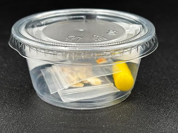 Mini Blob Kit - Slime Mold - Physarum polycephalum