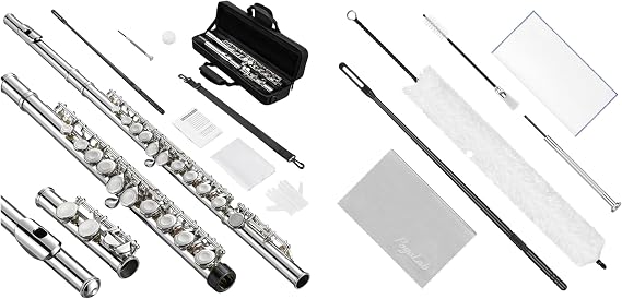 POGOLAB Beginner Closed Hole Flute + Flute Cleaning Kit