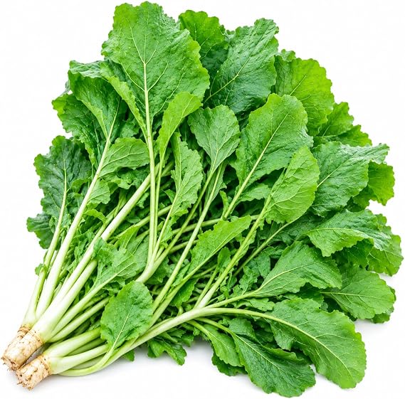 Turnip Green Seeds - Seven Top Turnip Greens - Produces Only Greens - 3400 Seeds