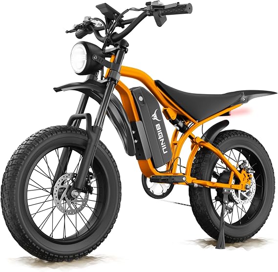 BIGNIU Electric Bike for Adults 20" Fat Tire, Peak 1200W Motor, 48V 15A Battery, 7-Speed, Dual Disc Brakes for Off-Road and City Riding BG-S