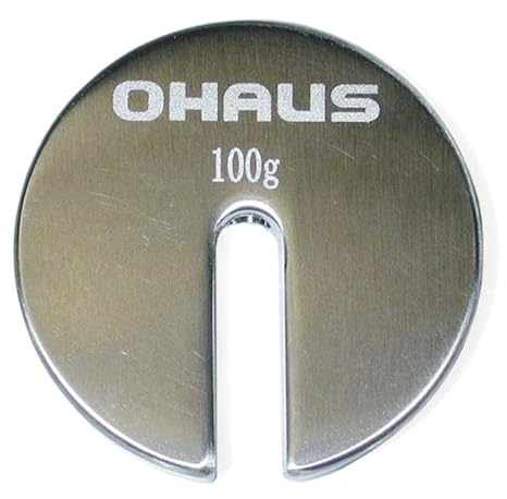 Ohaus 80850146 Weight, 100g, ASTM 6, Slotted