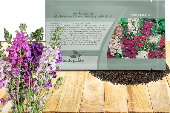Outsidepride Mix Mullein Seeds for Planting - 5000 Pcs Self-Seeding, Perennial Heirloom Seeds for Planting Flowers, for Cut Flower Arrangements, Xeriscaping, Rock Gardens & Containers