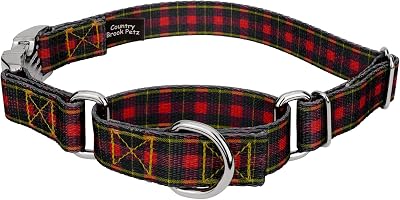 Country Brook Petz - Buffalo Plaid Martingale Dog Collar with Premium Buckle - Plaid and Argyle Collection Featuring Charming Designs 1 Inch, Medium