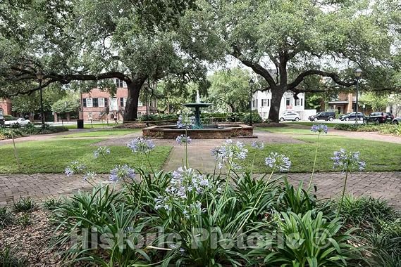Historic Pictoric Photo - Columbia Square in Savannah, Georgia- Fine Art Photo Reporduction 12in x 08in