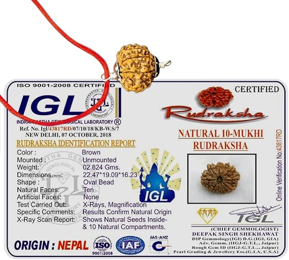 10 Mukhi Nepal Rudraksha/Ten Face/Lord Vishnu in Pure Silver Pendant Lab Certified Geniune Bead Big (26mm-28mm)