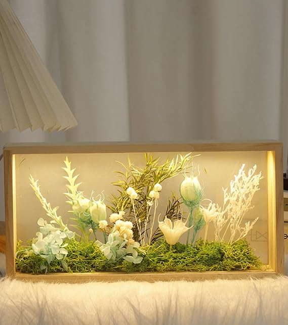Shadow Box Frame Display Case with Led Light, Wooden Dried Flower Frame, 3D Picture Frame, Shadow Box Display Case Box for Memorabilia, Baby Items, Crafts, Tickets and Photos
