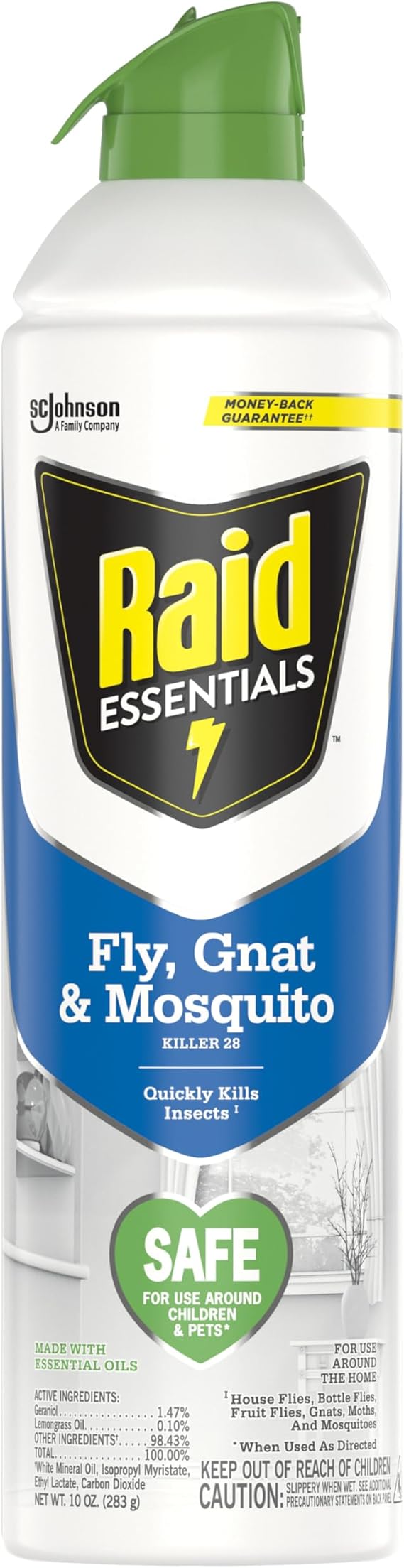 Raid Essentials Fly, Gnat & Mosquito Killer Aerosol Spray, Safe for Use Around Children and Pets, 10 oz