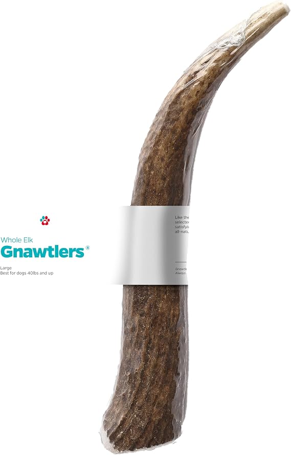 Pet Parents Gnawtlers - Premium Naturally Shed Elk Antlers for Dogs, All Natural Dog Chew, Specially Selected from The Heartland Regions (Large)