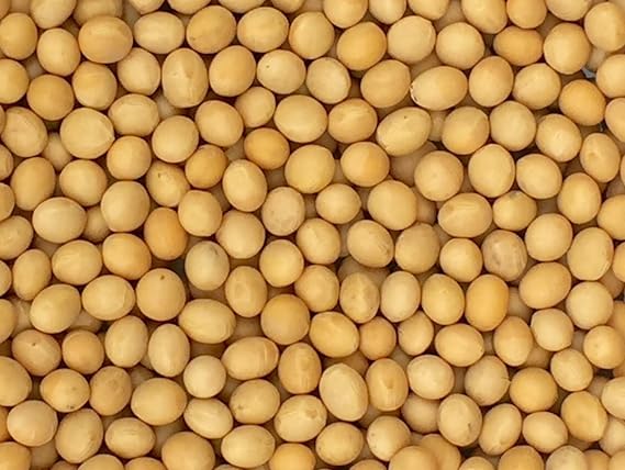Premium Grade Non-GMO Soybeans (5 Pounds) - Great for Soy Milk and Tofu - Product of USA