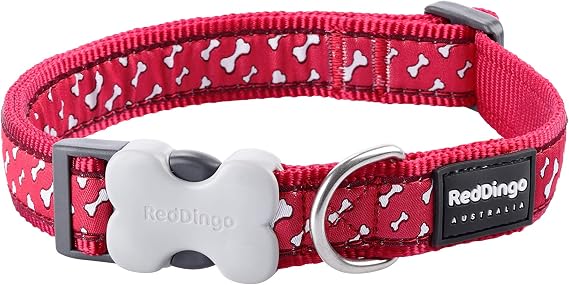 Red Dingo Bucklebone Dog Collar Design, Flying Bones Red, Medium 20mm