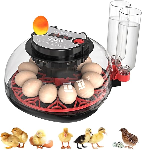 Egg Incubators for Hatching Eggs: Incubator for 12-36 Eggs Automatic Turning - with Temperature Control+Humidity Display+Automatic Water Filling - Home Incubator for Quail Chicken Duck Pigeon
