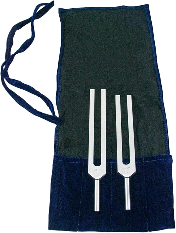 Biosonics Leonardo Upgrade for Body Tuners Includes 2 Tuning Forks & Velvet Pouch/Used with the Biosonic Body Tuners