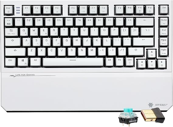 Hexgears X2 TKL Wireless Mechanical Gaming Keyboard with Magnetic Wrist Rest, Dual-Mode 2.4GHz/USB-C Ergonomic Keyboard, Pre-lubed Clicky Switches, White LED Backlit Computer Gaming Keyboards