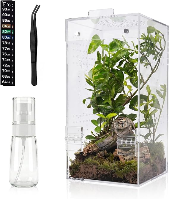 4"4"8" Ready-to-Use Acrylic Jumping Spider Enclosure No Assembly Needed