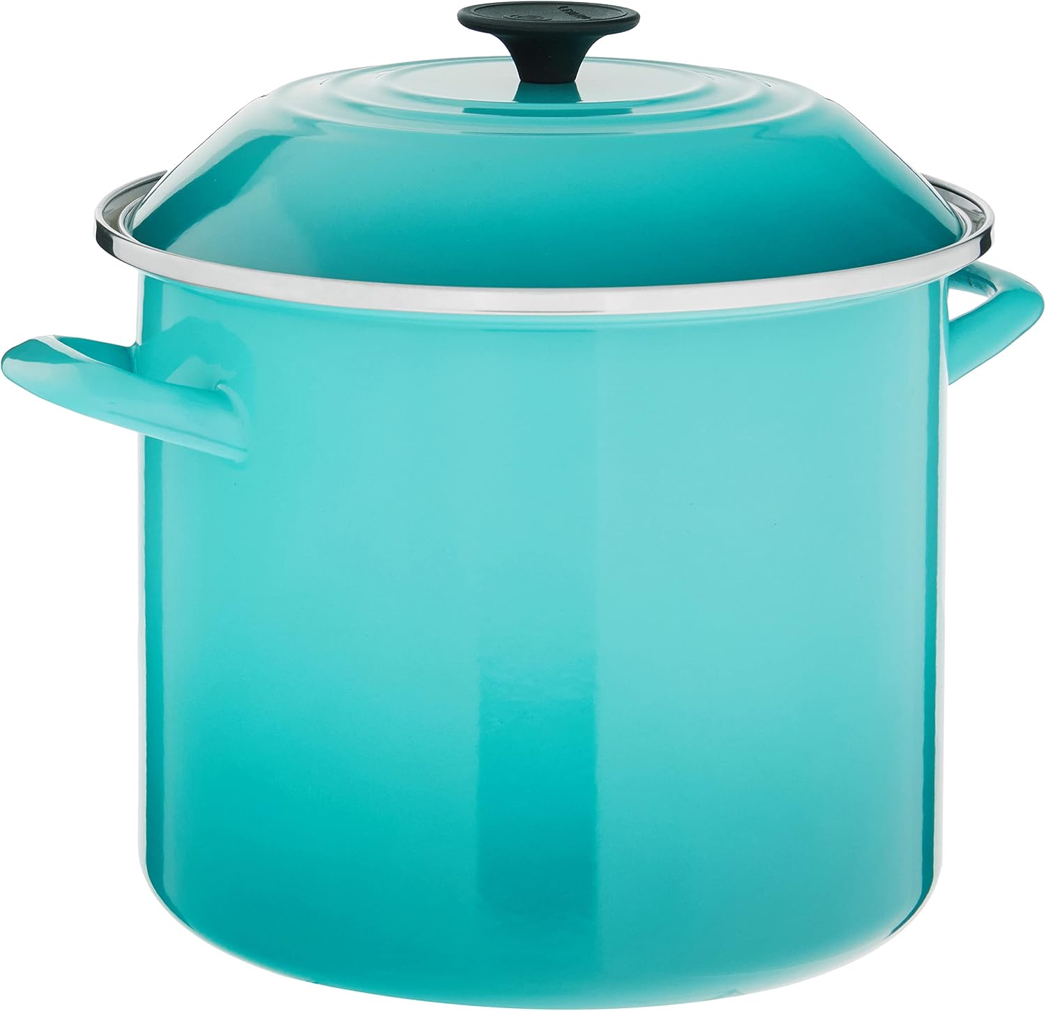 Le Creuset 10 Litre Enamel Steel Caribbean Stock Pot