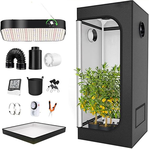 Grow Tent for Plants, Propagation Box, Grow Tent, Greenhouse Box, Grow Cabinet for Flowers, Vegetables, Herbs, for Indoor and Outdoor, with Observation Window, Tool Bag and Floor Tray,70x70x160cm