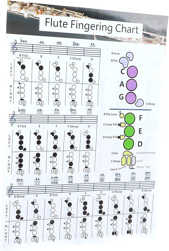 Flute Chord Chart, Easy-to-understand Flute Fingering Practice Chart Standard White with Coated Paper for Practice Teaching Aids Instrument for Flute Students(Flute Fingering Table Large (56*40cm))