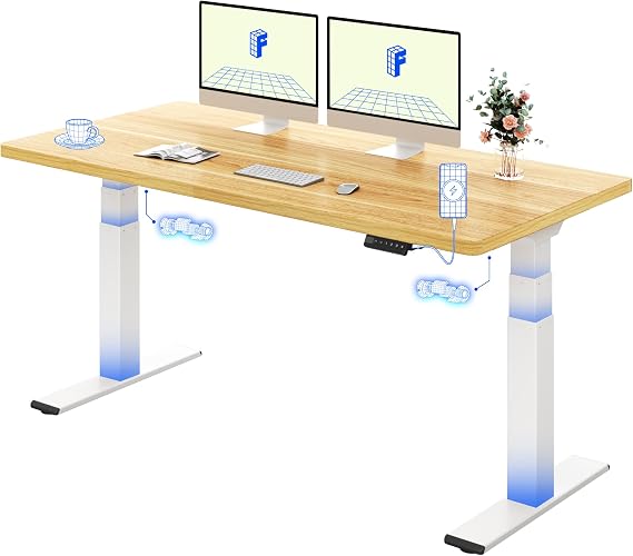FLEXISPOT Electric Standing Desk BIG MAX 200KG Height Adjustable