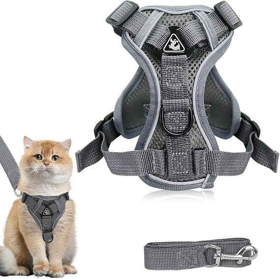 Cat Harness and Lead Set, Adjustable Cat Leash with Reflective Strips Escape Proof Cats Collar Breathable Soft Mesh Vest Kitten Cat Harness for Small Cats Dogs Pets Walking (Grey, M)