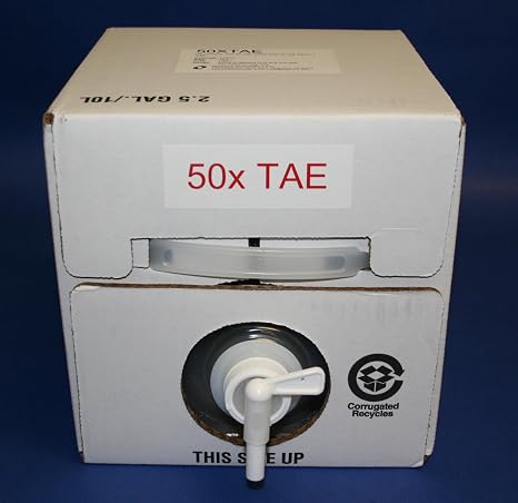 50x TAE Buffer (10 L)