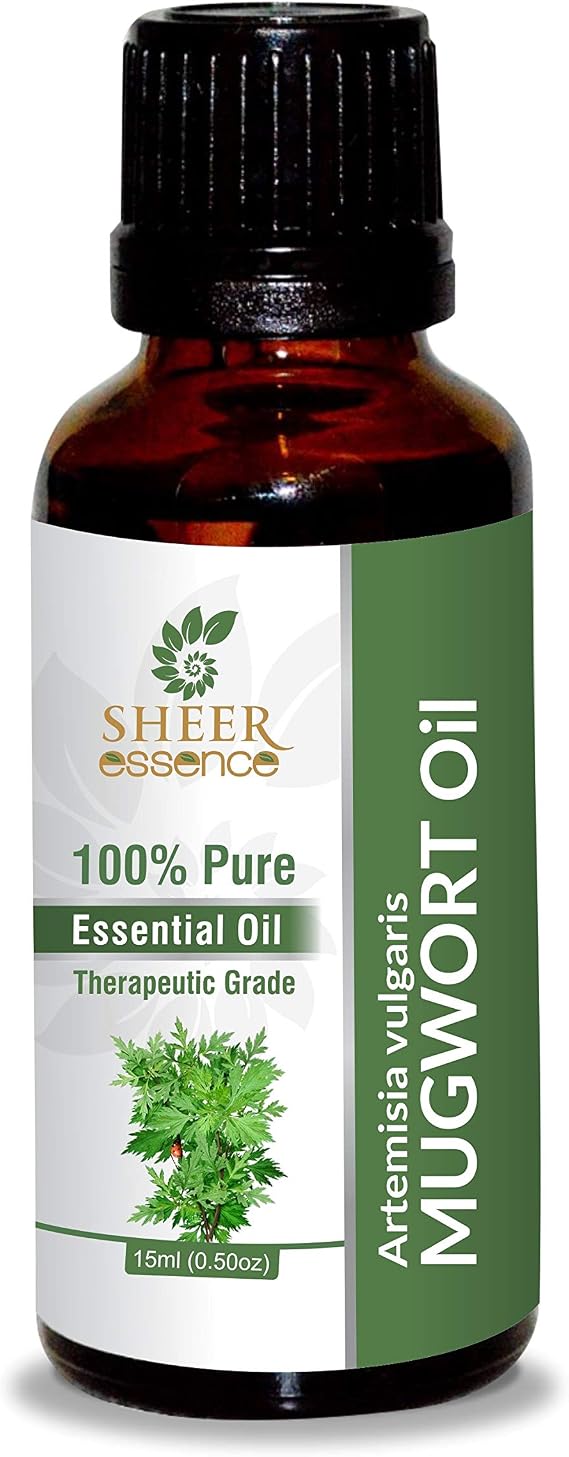 Mugwort Oil (Artemisia Vulgaris) Essential Oil 100% Pure Natural Undiluted Uncut Therapeutic Grade Oil 8.45 Fl.OZ
