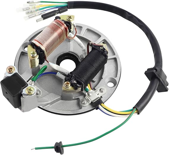 FLYPIG 2-Coil Ignition Magneto Stator for 50cc 70cc 90cc 110cc 125cc Taotao Roketa Sunl Dirt Bike ATV Quad
