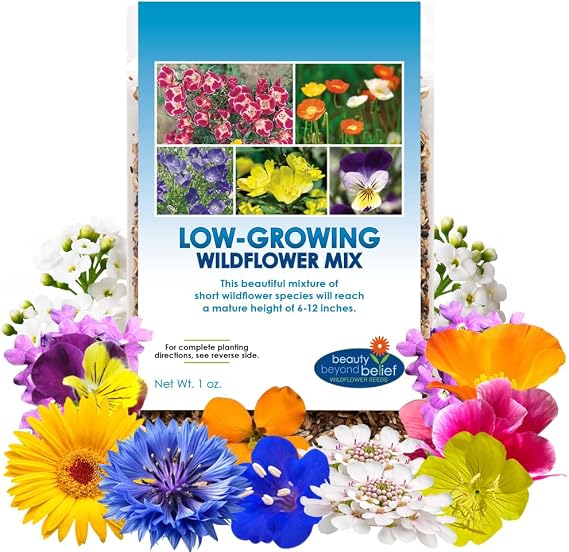BBB Seed Low Growing Wildflower Seeds Mix, 6-12 Inch Short Flowers, 1 oz