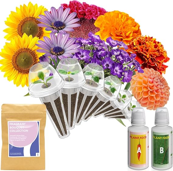 inbloom 7 Pods Fragrant Bouquet Flower Seed Pod Kit, 350+ Seeds | Compatible with AeroGarden, Ahopegarden, GARDENCUBE(Sunflower, Mexican Marigold, Cockscomb, French Marigold, Dahlia)