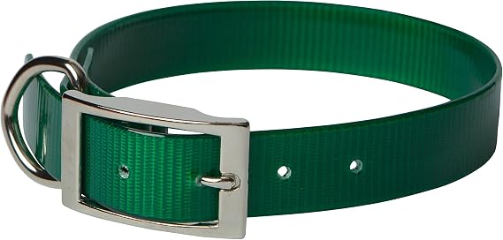 SunGlo Regular Dog Collar, 1" Wide, Green, Fits 20.5"- 24" Neck Sizes, Vibrant Colors & Tough Construction for Active Dogs