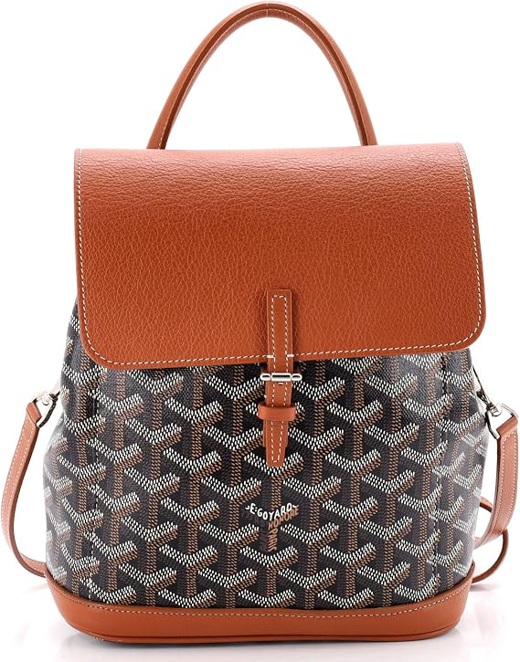 Pre-Loved Alpin Backpack Coated Canvas Mini, Brown