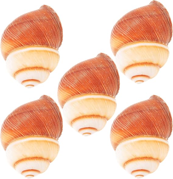 5pcs Natural Snail Shells French Style Baking Snail Shells Smooth Surface Heat Resistant Microwave Dishwasher Safe Shell