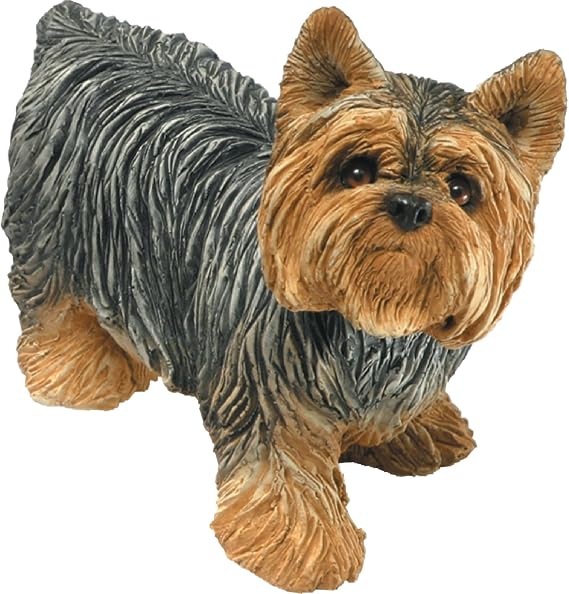 Sandicast Mid Size Yorkshire Terrier Sculpture - Standing